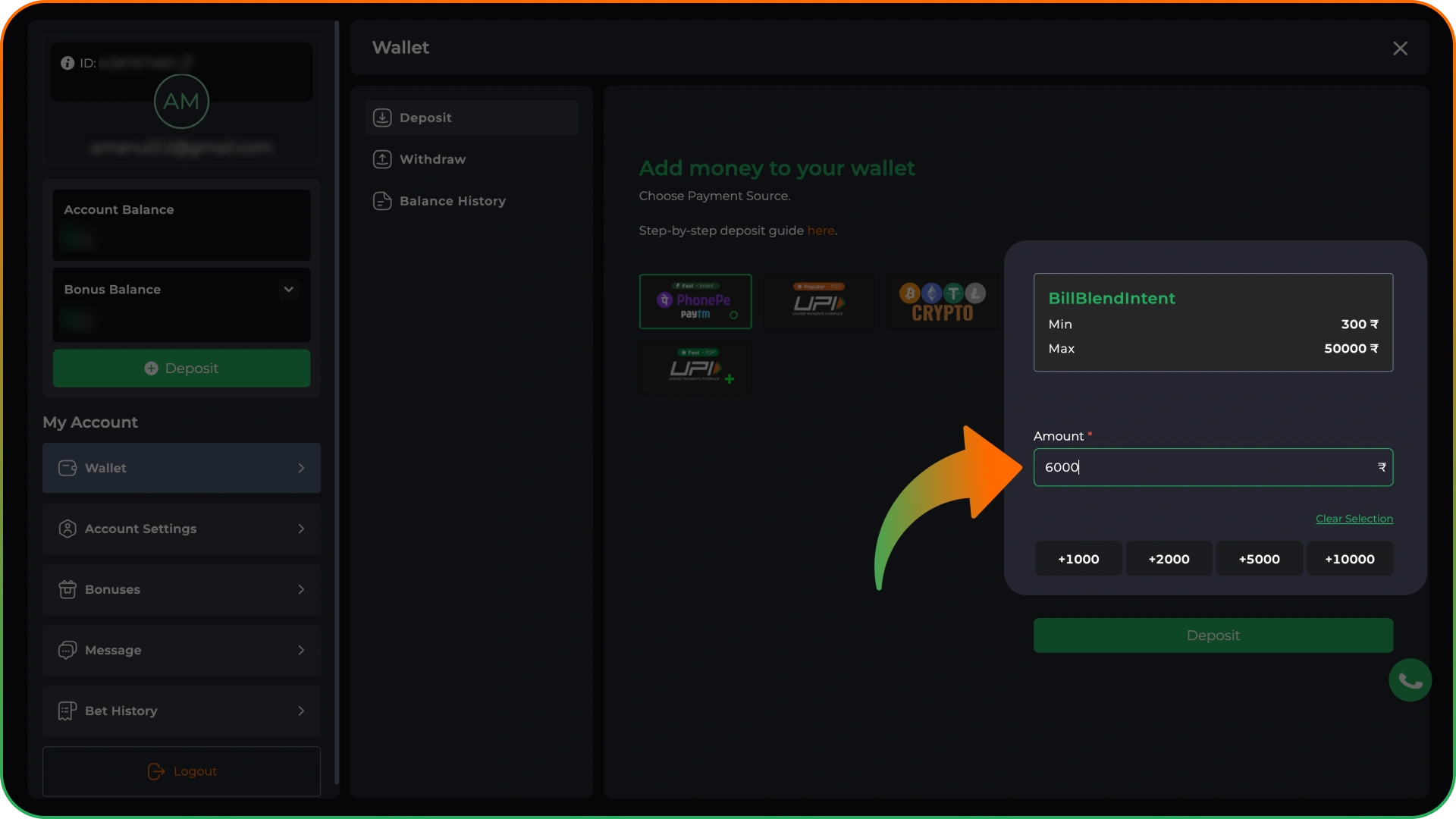 Enter the amount of deposit in the special field at 9winz.